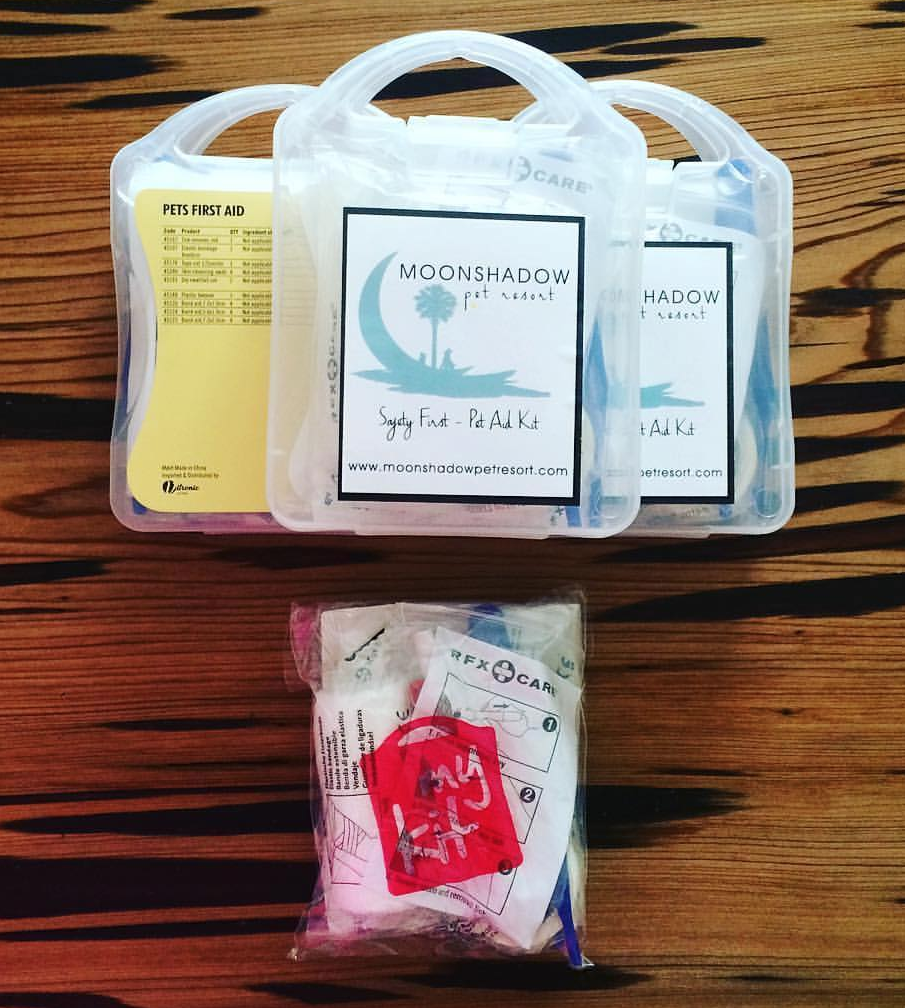 msk pet first aid kit1