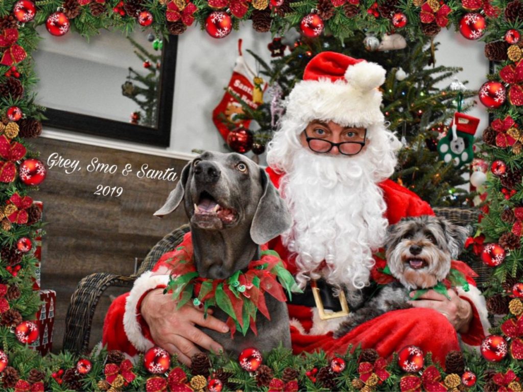 Facebook Twitter LinkedIn Pinterest