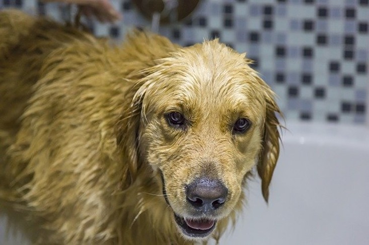 special bath treatments on spa