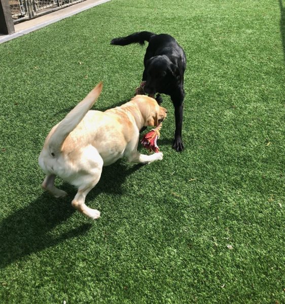 Facebook Twitter LinkedIn Pinterest